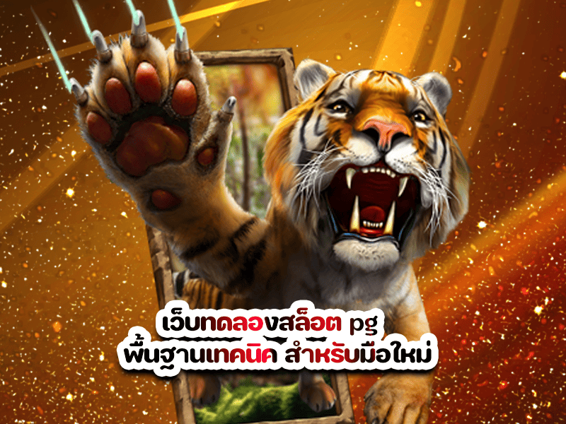 เว็บทดลองสล็อต pg  พื้นฐานเทคนิค สำหรับมือใหม่
